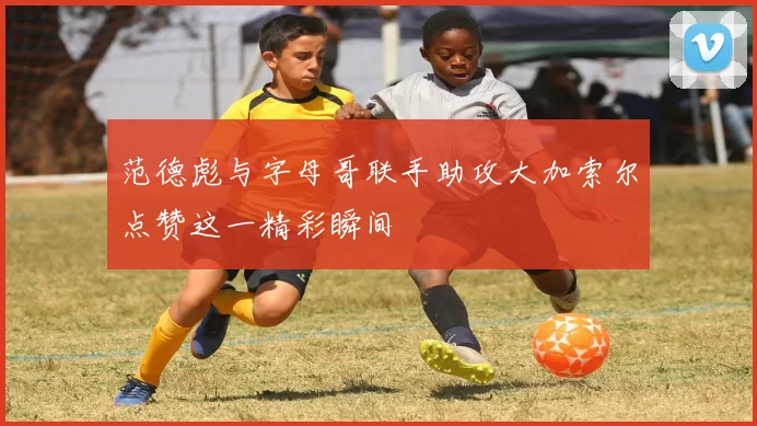 范德彪与字母哥联手助攻大加索尔点赞这一精彩瞬间