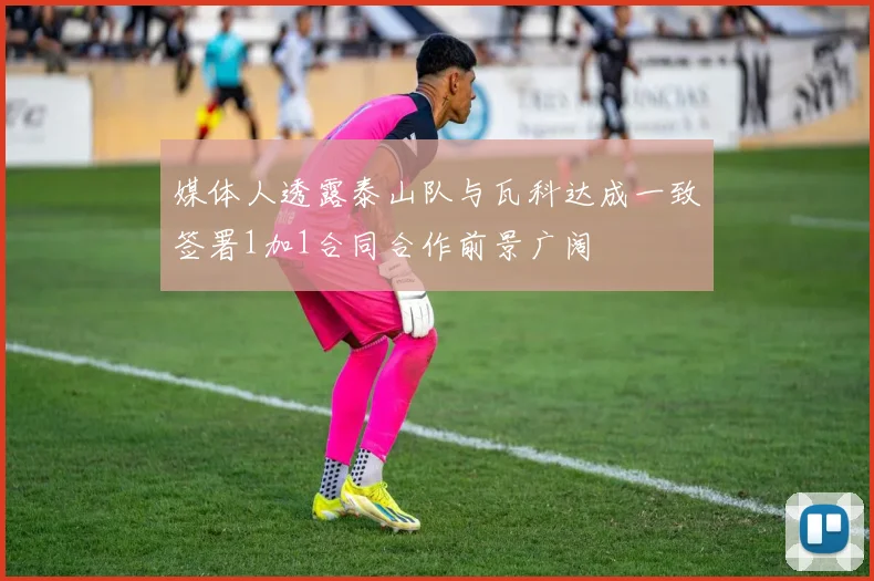 媒体人透露泰山队与瓦科达成一致签署1加1合同合作前景广阔