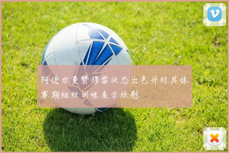 阿德尔曼赞穆雷状态出色并对其休赛期组织训练表示欣慰